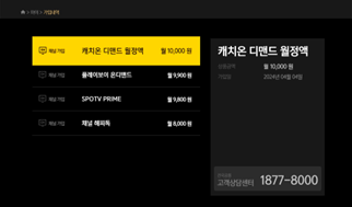 유료채널 가입내역 화면 이미지