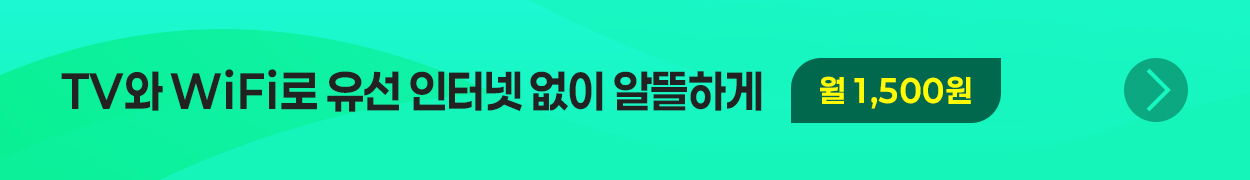 TV와 WiFi로 유선 인터넷 없이 알뜰하게 / 월 1,500원 → 바로가기