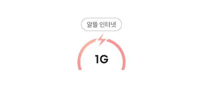 알뜰 인터넷/1G