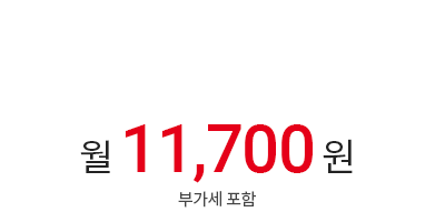 월 11,700원 (부가세 포함)
