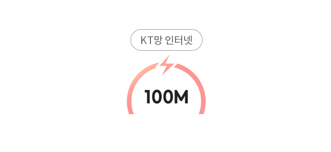 KT망 인터넷/100M