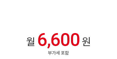 월 6,600원 (부가세 포함)