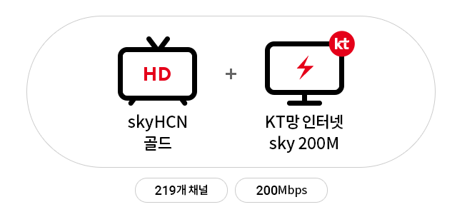 HD skyHCN골드/219개 채널 + KT망 인터넷 sky 200M/200Mbps