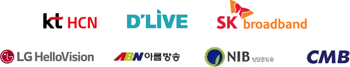 kt HCN, D LIVE, t-broad, LG HelloVision, ABN아름방송, NIB남인천방송, CMB 로고 이미지